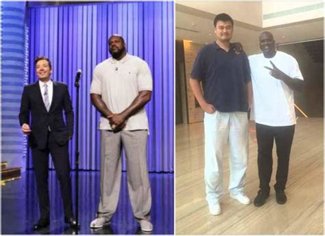 Height Of Shaquille O Neal